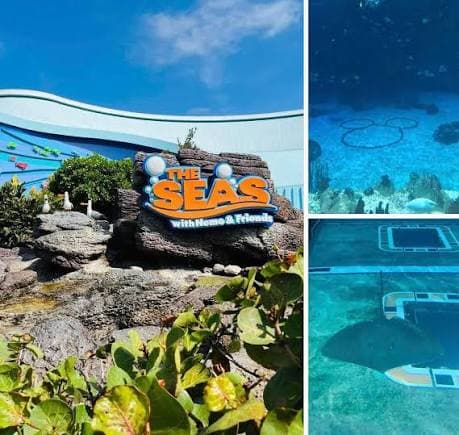 SeaBase Aquarium