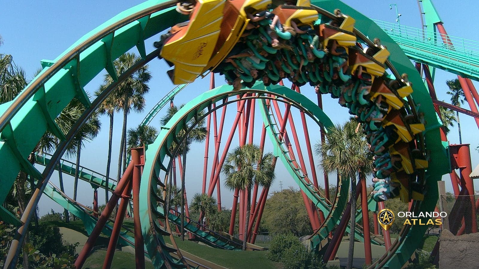 Busch Gardens Tampa