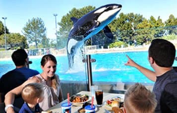 Dine with Orcas