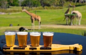 Giraffe Bar
