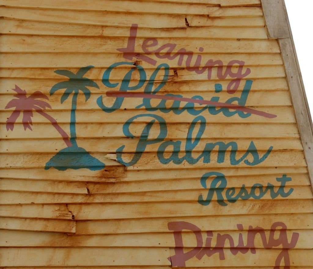Leaning Palms