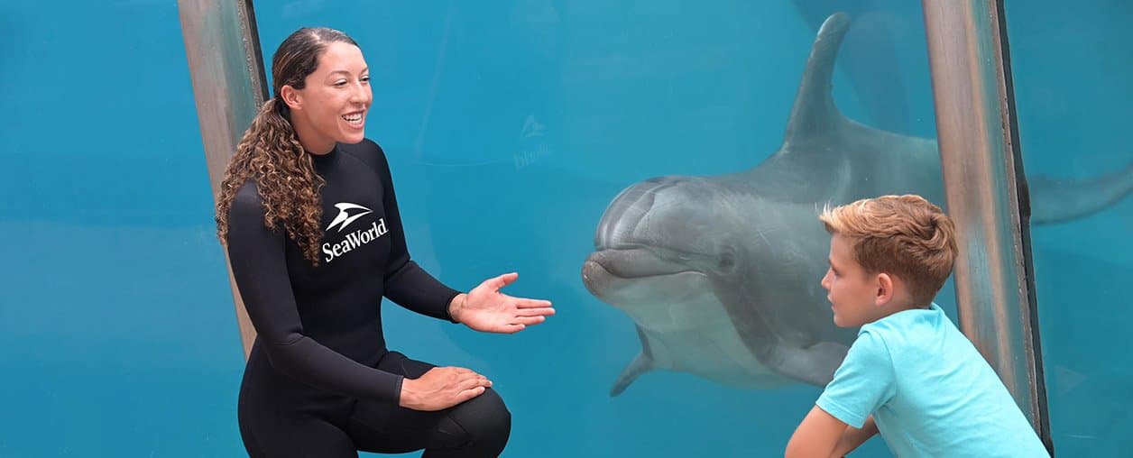 Dolphin Trainer Talk