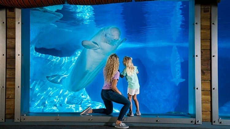 Keeper Talk at Expedition Odyssey