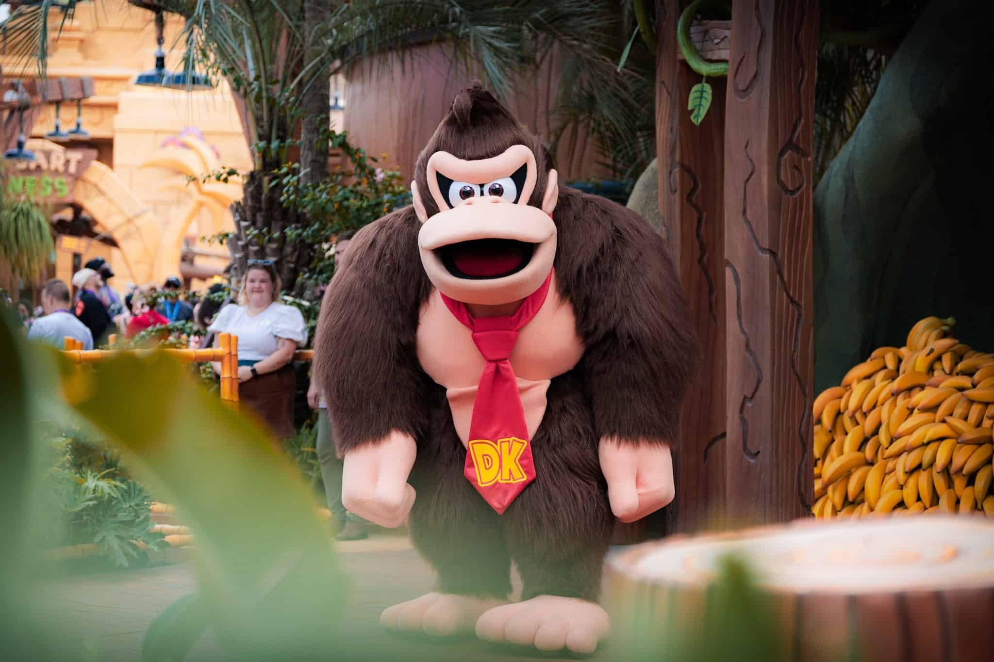 Meet Donkey Kong