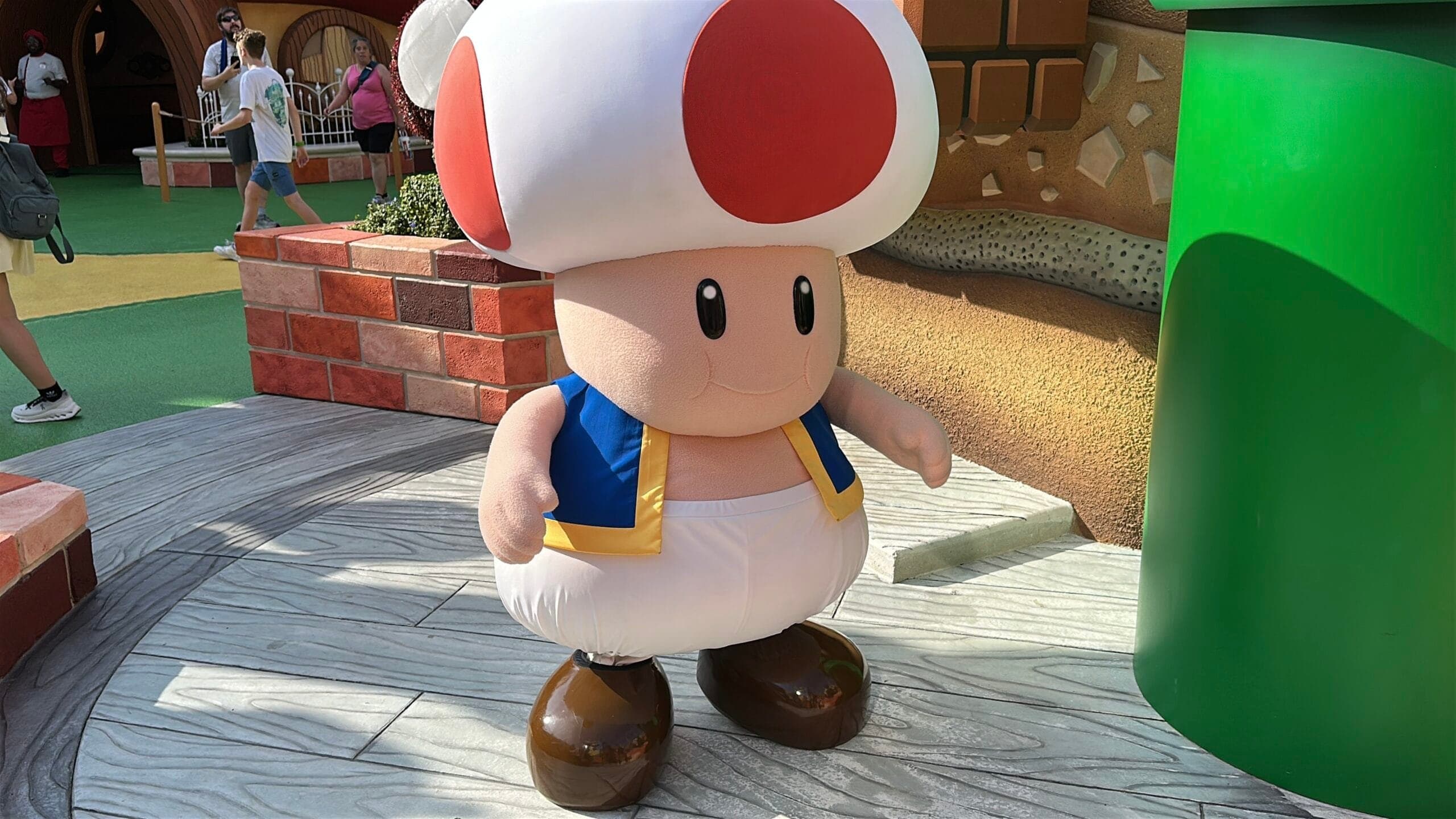 Meet Toad