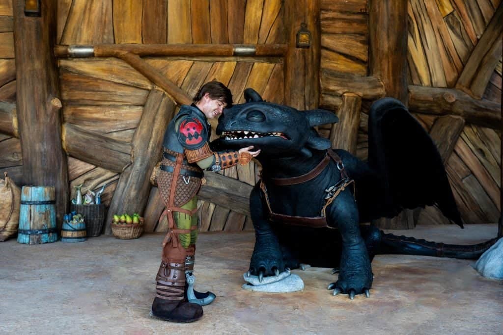 Meet Toothless and Friends