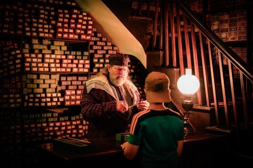 Ollivanders™ Experience in Diagon Alley™