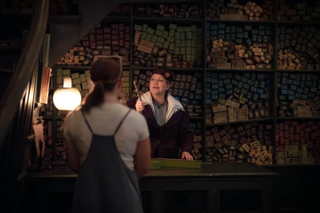 Ollivanders™ Experience in Hogsmeade™