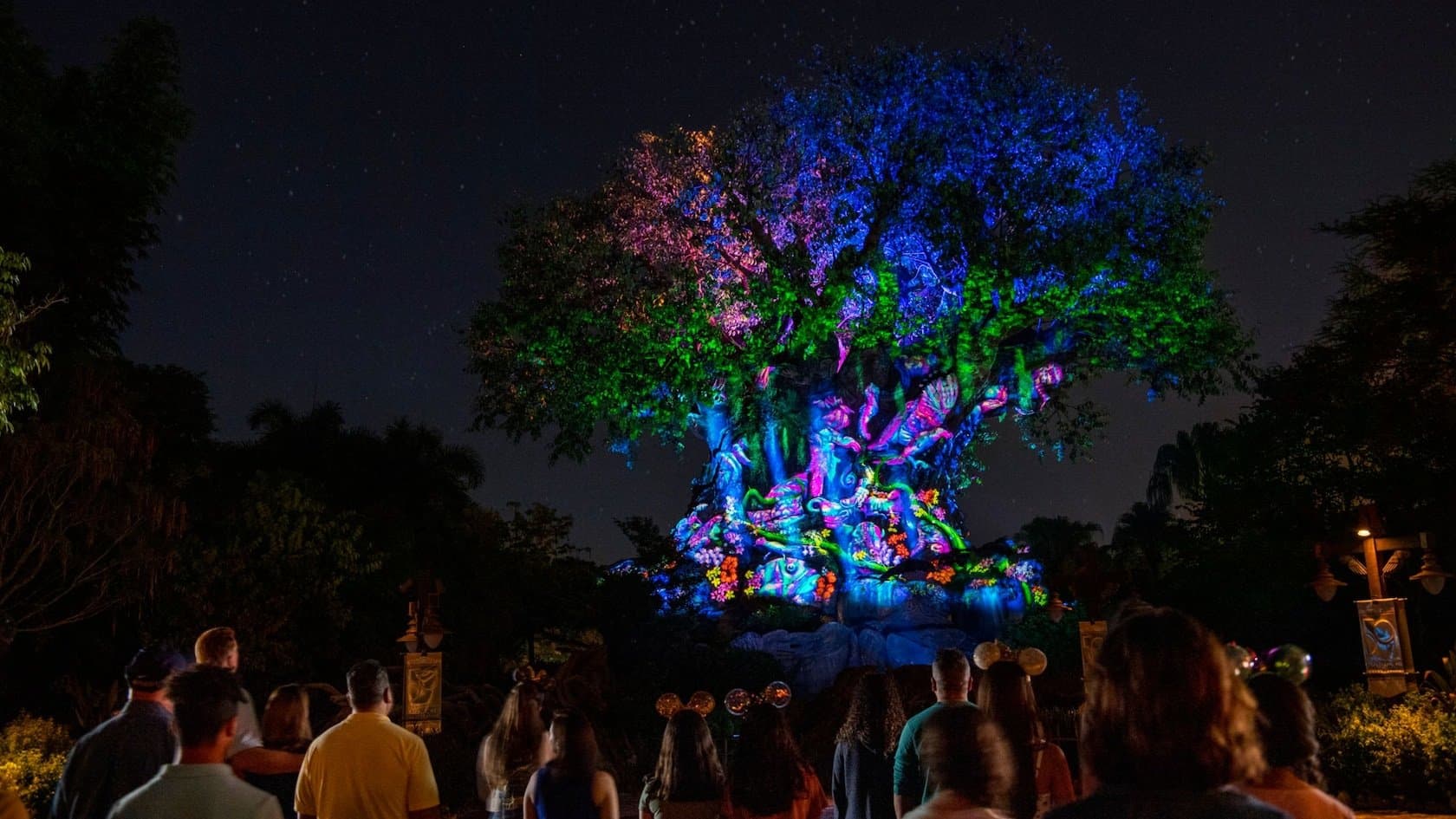 Tree of Life Awakenings