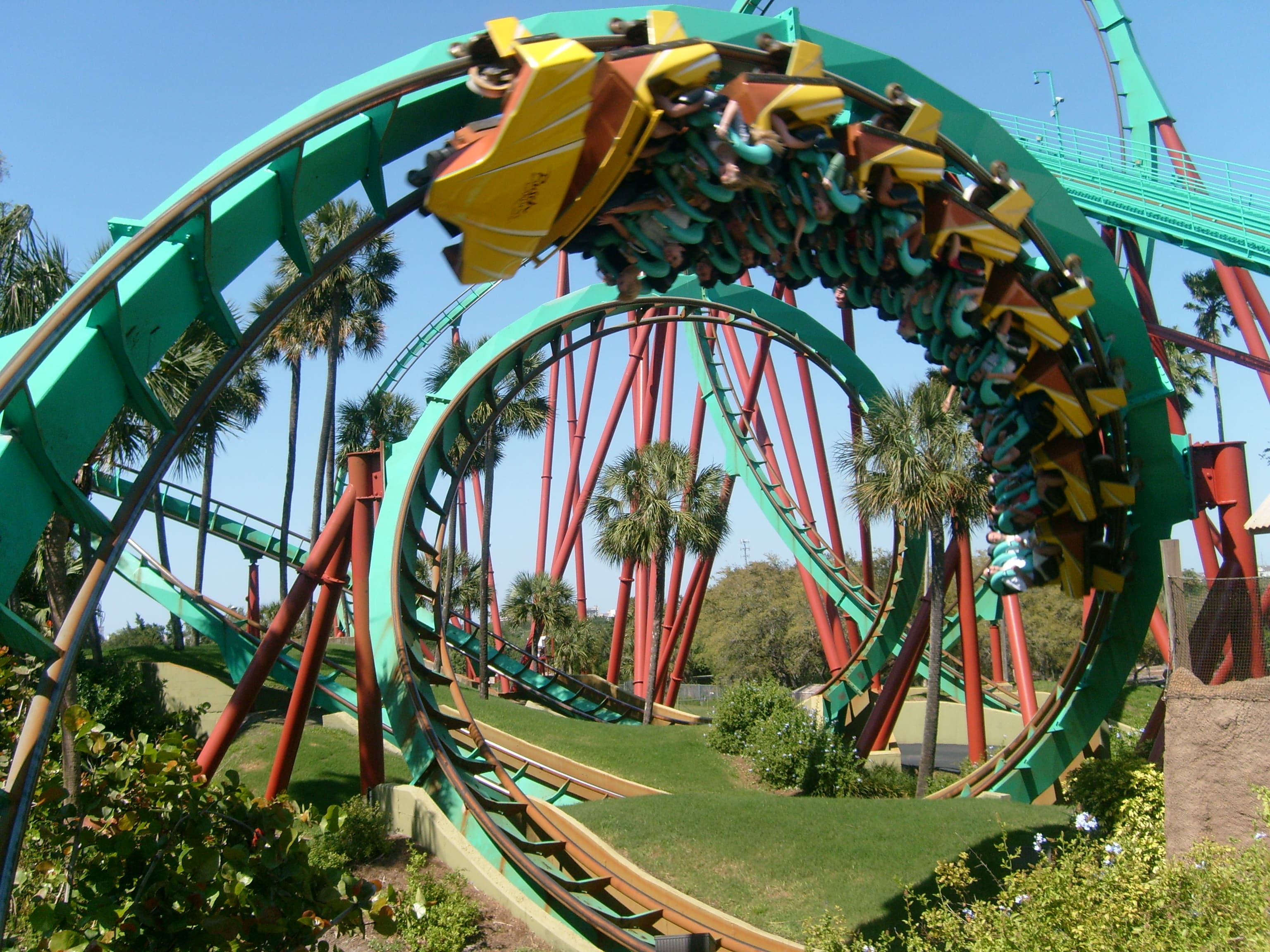 Busch Gardens Tampa