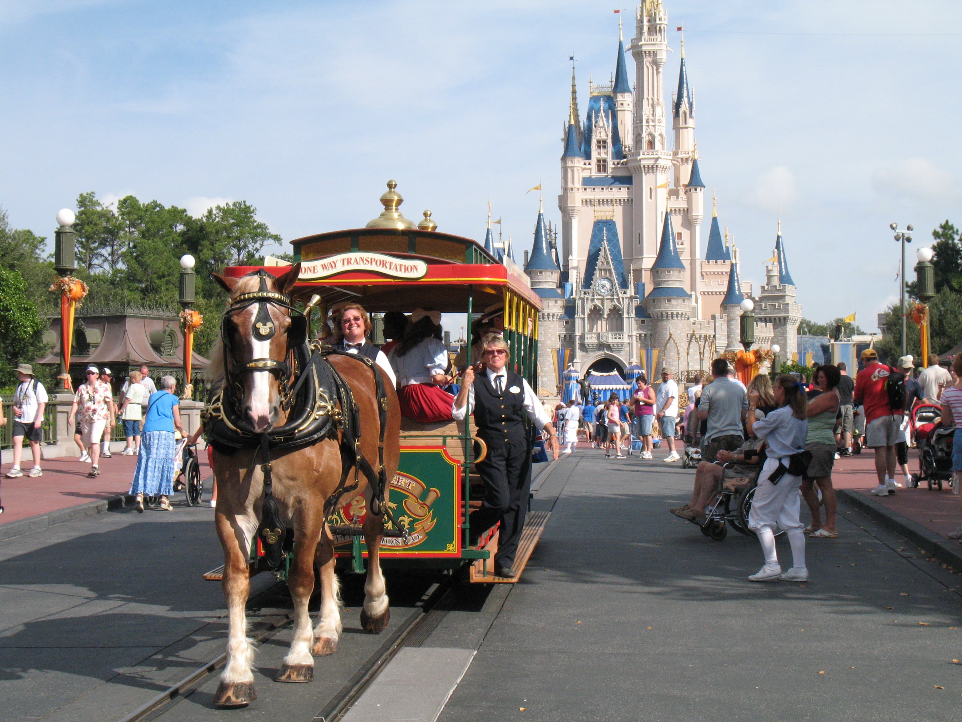Magic Kingdom