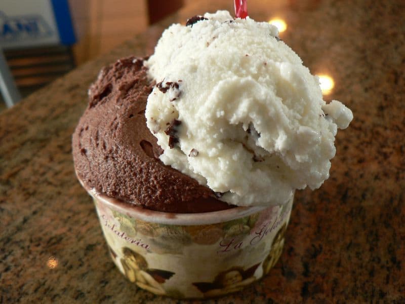 Gelato Cup