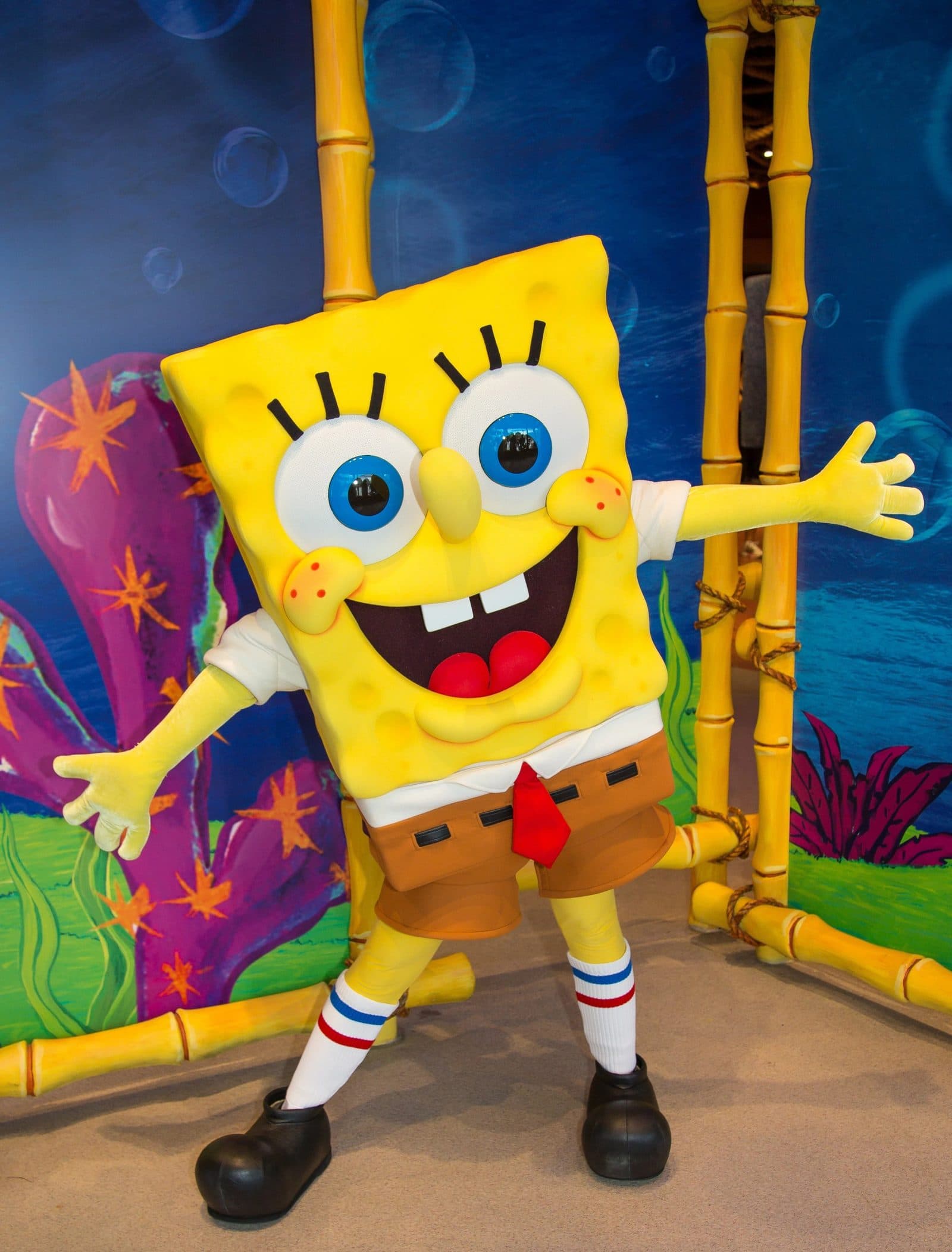 Meet SpongeBob SquarePants and Friends